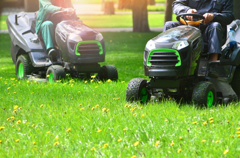 Increase Your Meadow Mowing Business with an AI Driven, Targeted Website