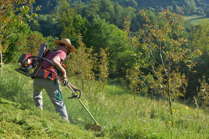 Meadow Mowing
